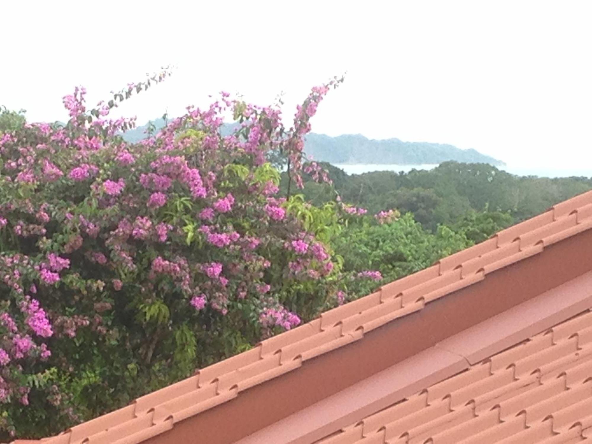 Villa Mango B&B Nosara Eksteriør billede