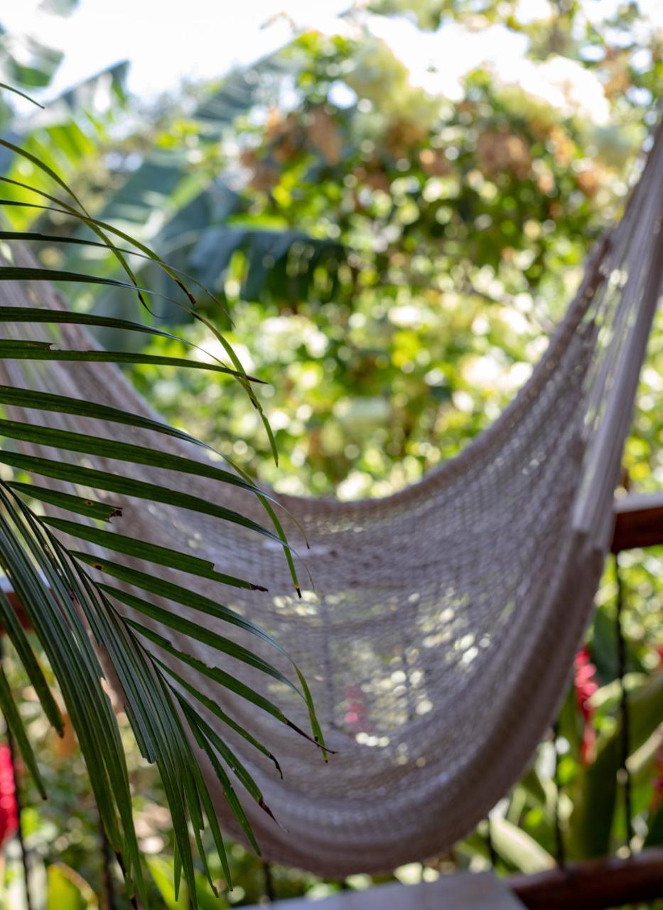 Villa Mango B&B Nosara Eksteriør billede